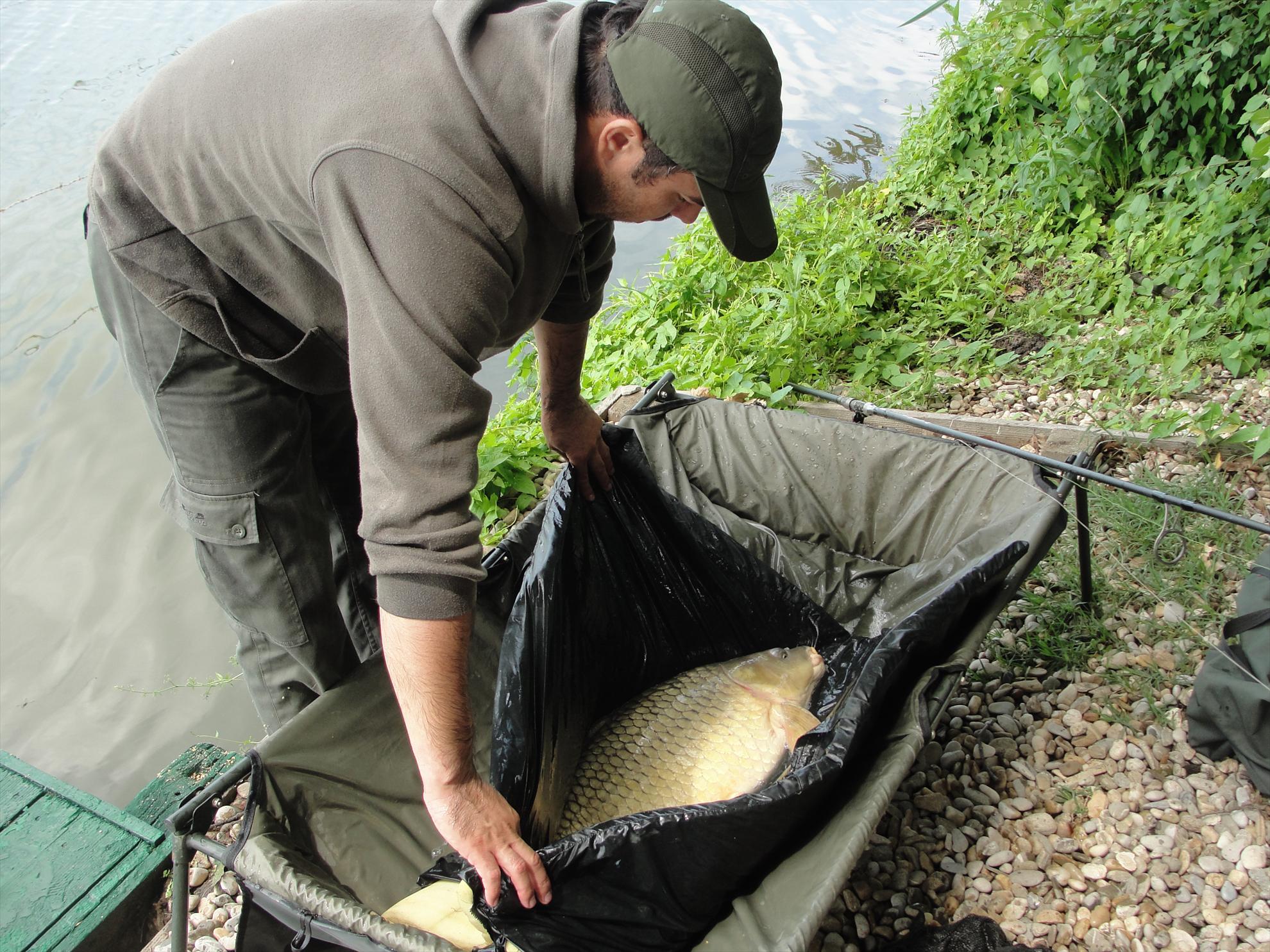 Moara Vlasiei 2 9 - 9 iun. - si eliberarea 